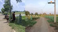 मसौढ़ी के 17 पंचायतों में 40 हजार से अधिक पौधे लगाने का लक्ष्य, अब तक 28,800 पौधारोपण पूरा, 10 अगस्त तक लक्ष्य हासिल करने की तैयारी