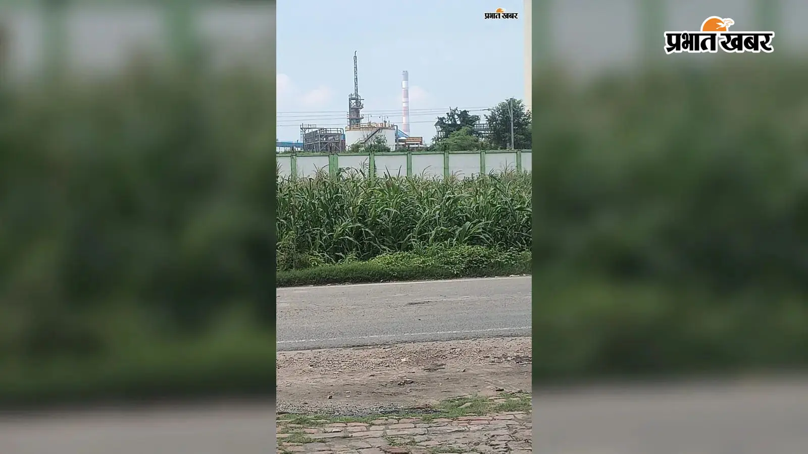 हर्ल खाद कारखाना में फिर चोरी, सुरंग खोदकर कीमती सामान ले जाने का आरोप