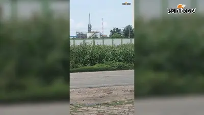 हर्ल खाद कारखाना में फिर चोरी, सुरंग खोदकर कीमती सामान ले जाने का आरोप