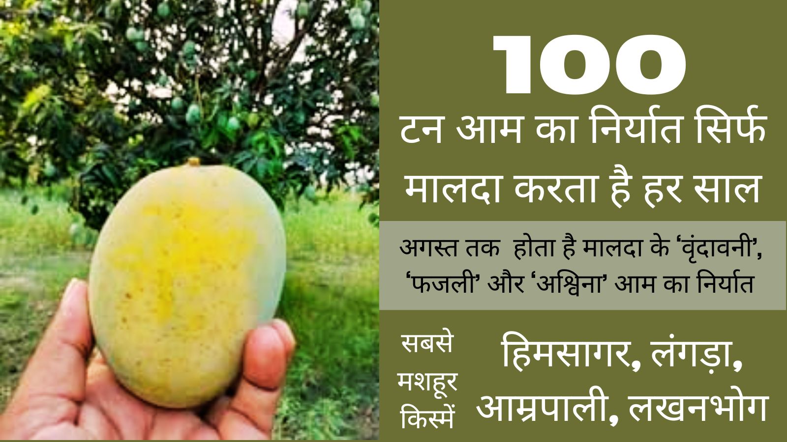 मालदा से आम के एक्सपोर्ट के आंकड़े.