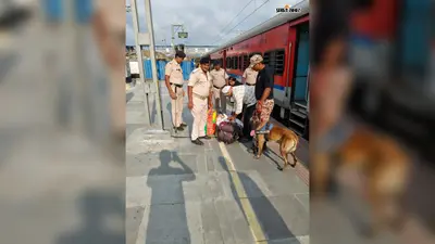 स्वतंत्रता दिवस से पहले नरकटियागंज स्टेशन पर हाई अलर्ट, डॉग स्क्वाड ने की जांच