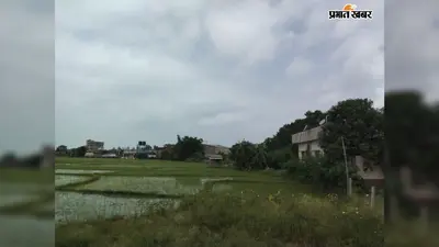 आसमान में छाए काले बादल, 22 अगस्त तक बारिश के आसार; धान की फसल को मिलेगा फायदा