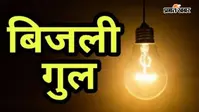 सीवान-बड़हरिया 33 केवी लाइन पर काम, सुबह 11 से 3 बजे तक गुल रहेगी बिजली, जानें पूरा अपडेट