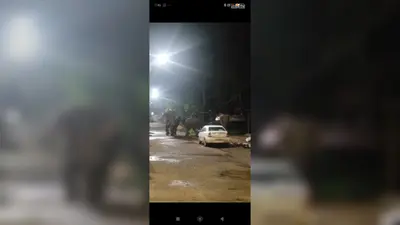 जब यात्रियों की जगह हाथियों का झुंड पहुंच गया बस स्टैंड...