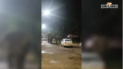 चंपुआ बस स्टैंड तक पहुंचा हाथियों का झुंड, मची अफरा तफरी