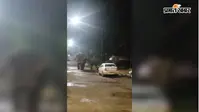 चंपुआ बस स्टैंड तक पहुंचा हाथियों का झुंड, मची अफरा तफरी
