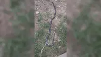 कैमूर : सांप ने डसा तो वहीं कुंडली मारकर बैठा रहा, 9 साल की शिवांगी की मौत से गांव में मातम