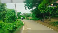 सूर्यगढ़ा-माणिकपुर सड़क के अंधे मोड़ों पर उगीं झाड़ियां, बाधित दृश्यता से लगातार बढ़ रहा हादसों का खतरा