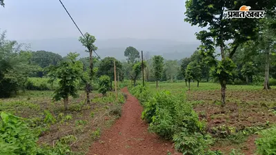जंगल बचा तो बचेगी पहचान: सुंदरपहाड़ी और राजमहल पहाड़ी में आज भी बदलाव की राह देख रहा सौरिया पहाड़िया