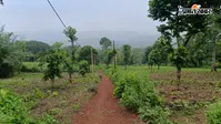 जंगल बचा तो बचेगी पहचान: सुंदरपहाड़ी और राजमहल पहाड़ी में आज भी बदलाव की राह देख रहा सौरिया पहाड़िया