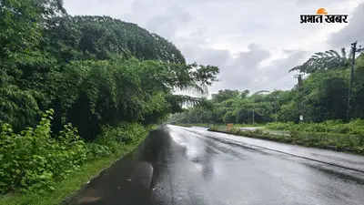 पतरातु - रामगढ़ मार्ग पर हादसे को आमंत्रित कर रहा है बांस की झूलती टहनियां