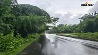 पतरातु - रामगढ़ मार्ग पर हादसे को आमंत्रित कर रहा है बांस की झूलती टहनियां