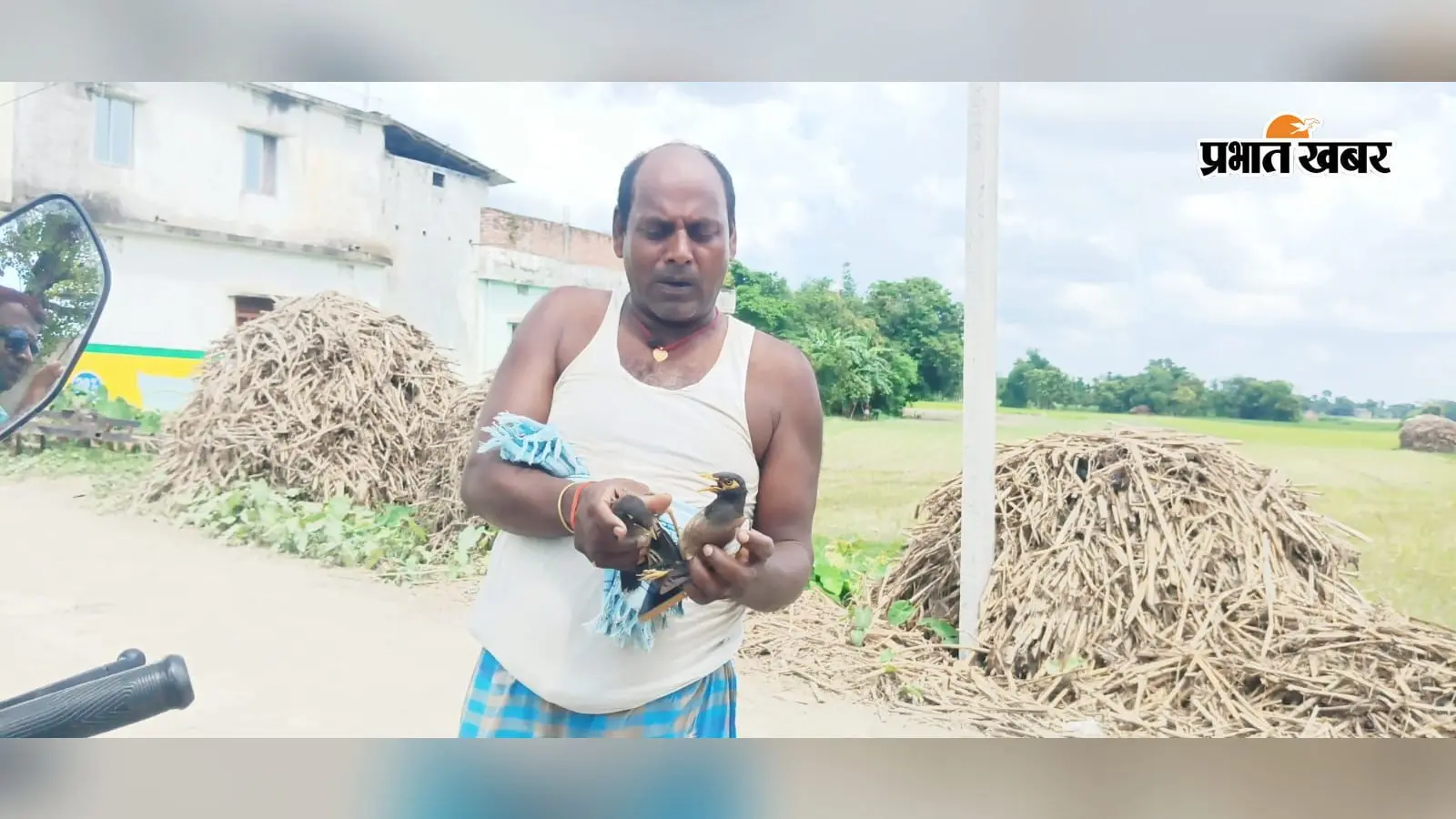 खगड़िया के बेलदौर में हाईटेंशन तार से झुलसे दो पक्षियों को ग्रामीण ने बचाया, जीव-दया की अनोखी मिसाल