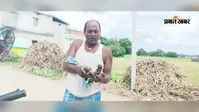 खगड़िया के बेलदौर में हाईटेंशन तार से झुलसे दो पक्षियों को ग्रामीण ने बचाया, जीव-दया की अनोखी मिसाल