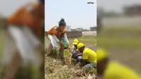 कोसी को फिर से हराभरा बनाने का संकल्प, हजारों पौधे लगाकर पर्यावरण बचाने की मुहिम चला रहीं स्वाती सिंह
