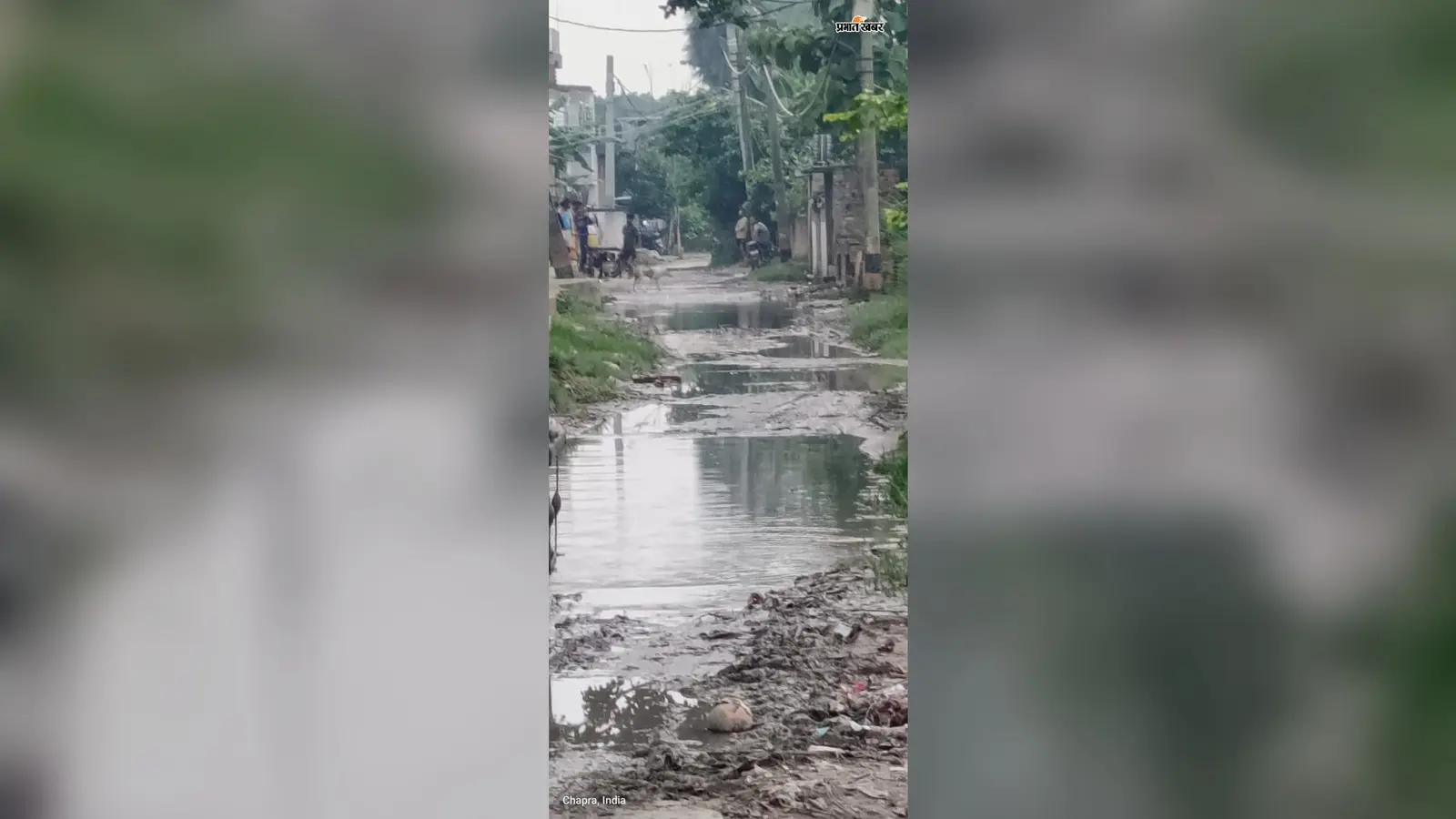छपरा में 40 लाख से बना ड्रेनेज बना जलजमाव की वजह, वार्ड आयुक्त ने डीएम से लगाई गुहार