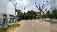 अरवल: एनएच-33 किनारे सूखे पेड़ दे रहे हादसों को न्योता, कभी भी सड़क पर गिर सकता है पेड