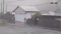 Typhoon Dolphin Alert: चीन पर टूटा 'डॉल्फिन' का कहर, 4 दिनों तक भयंकर बारिश और आंधी की चेतावनी