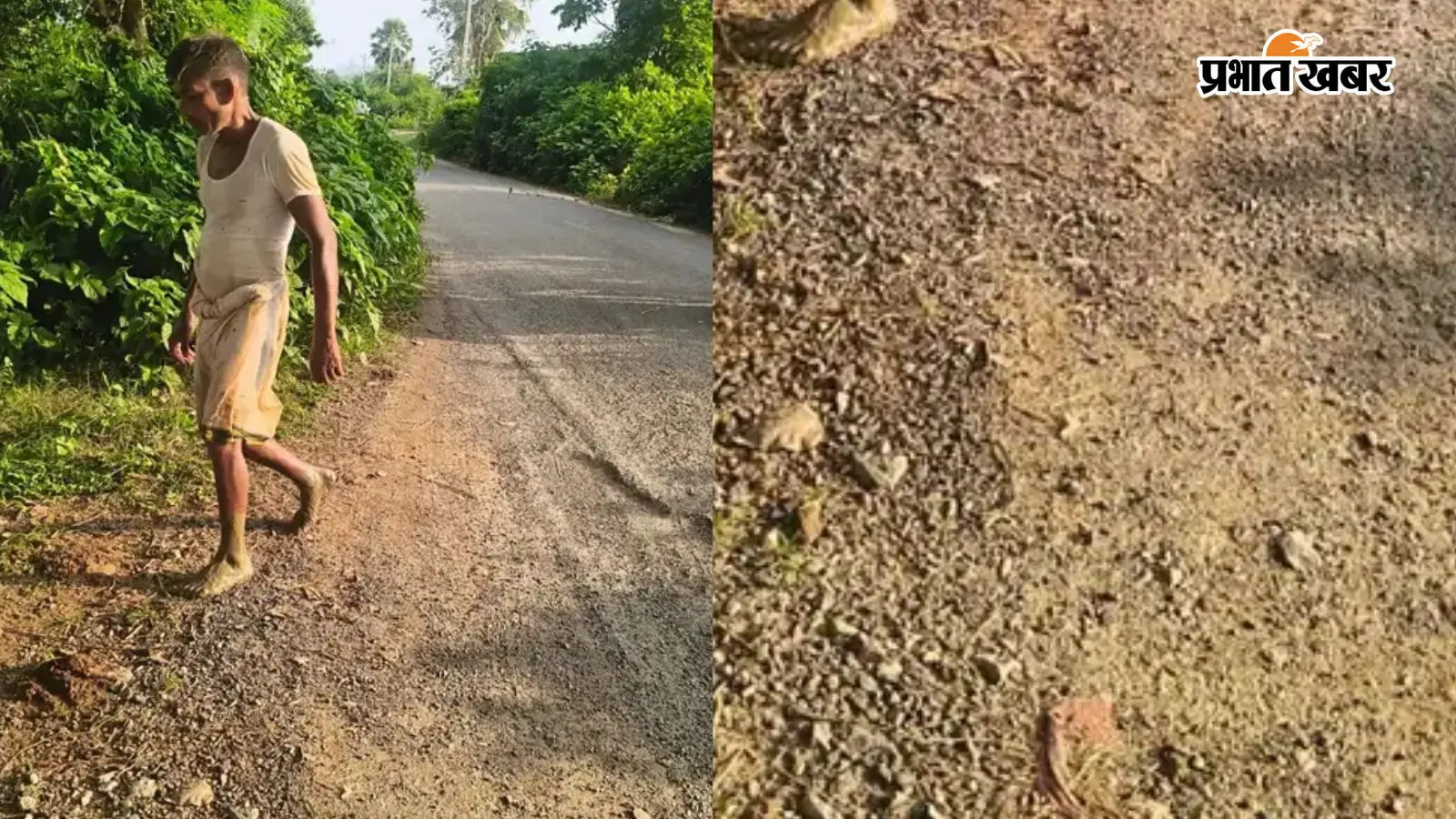 गया जी : शोभ-धनगांईं रोड पर झाड़ियों और तीखे मोड़ों के कारण मंडरा रहा हादसे का खतरा, ग्रामीणों में आक्रोश