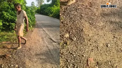 गया जी : शोभ-धनगांईं रोड पर झाड़ियों और तीखे मोड़ों के कारण मंडरा रहा हादसे का खतरा, ग्रामीणों में आक्रोश