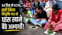 घास खाने पर हुए मजबूर, 34 दिन धरने के बाद LPST टॉपर्स का अनोखा प्रदर्शन