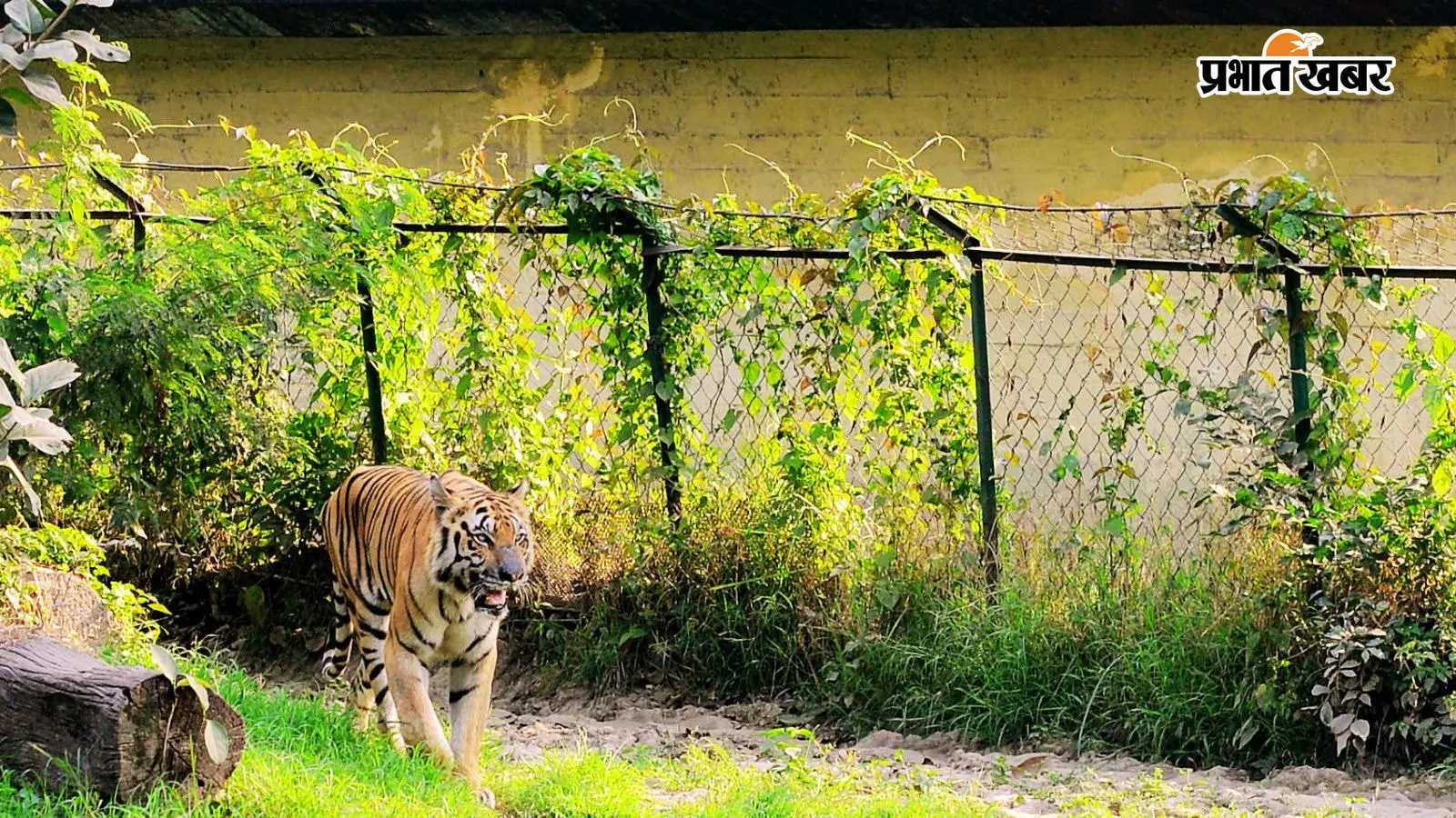 अब चिड़ियाघर के दत्तक पशु-पक्षियों की निगरानी कर सकेंगे अभिभावक