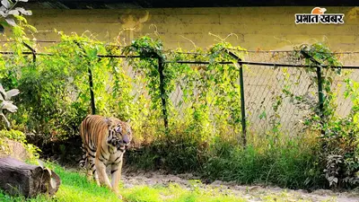अब चिड़ियाघर के दत्तक पशु-पक्षियों की निगरानी कर सकेंगे अभिभावक
