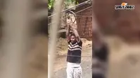 बेगूसराय में बीच सड़क पर पांच राउंड हवाई फायरिंग का वीडियो वायरल, कुख्यात गछिया पासवान गिरफ्तार