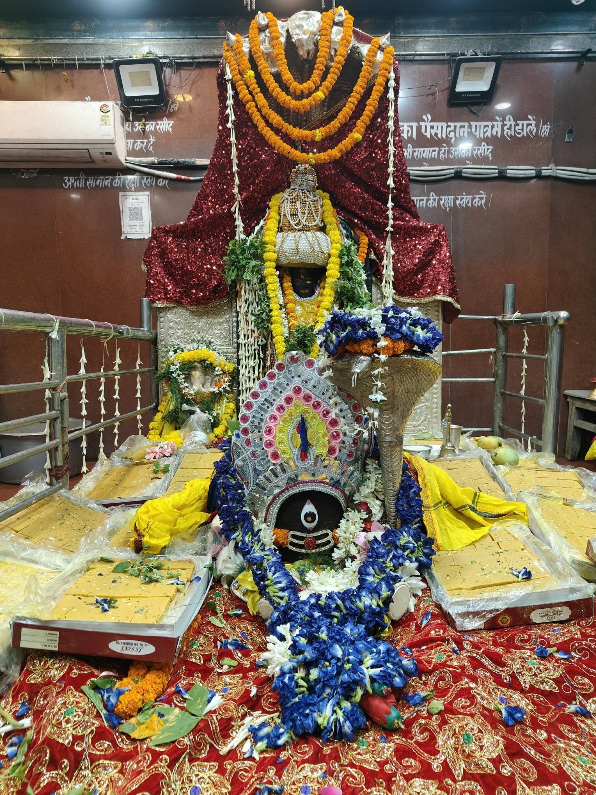 सावन के पावन महीने में बाबा हरिहरनाथ का अपराजिता के फूलों से भव्य श्रृंगार किया गया है. नीले अपराजिता के फूलों से सजा बाबा का दिव्य स्वरूप बेहद मनमोहक नजर आ रहा है.