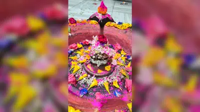 सावन की दूसरी सोमवारी पर शिवालयों में उमड़ी भीड़, जयकारों से गूंजा बांका, भक्तों ने किया जलाभिषेक