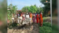 खेत और सड़क में नहीं हैं अंतर, लोगों ने कीचड़ से भरी सड़क पर चलाया हल