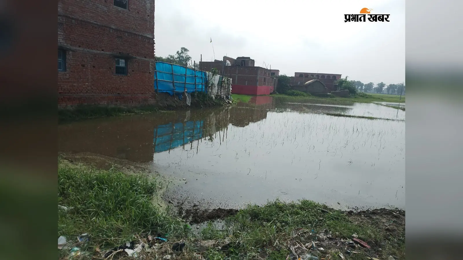 बुक्सर: राजपुर में स्कूल जाने का रास्ता बना तालाब, 2 से 2.5 फीट पानी में चलकर पहुंच रहे बच्चे, कई ने छोड़ा स्कूल