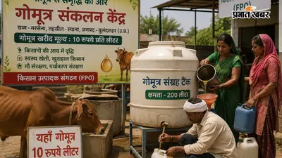 अब गोमूत्र भी बनेगा कमाई का जरिया, यूपी में शुरू हुई 10 रुपये लीटर की खरीद