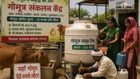 अब गोमूत्र भी बनेगा कमाई का जरिया, यूपी में शुरू हुई 10 रुपये लीटर की खरीद