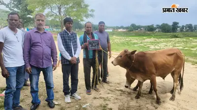 करमा में पशुपालकों को मिला लाभ, 21 को बत्तख और पांच को जोड़ा बैल वितरित