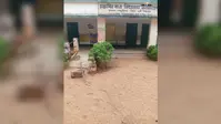 जब इस स्कूल में बच्चों की जगह पहुंच गया हाथी...