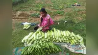 कभी खेती के साथ करनी पड़ती थी मजदूरी, अब हो रही अच्छी कमाई, जानें रोयबारी की कहानी