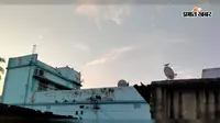 आज मौसम को लेकर कोई अलर्ट नहीं, दिनभर सताएगी उमस और गर्मी; तापमान 35 डिग्री पहुंचने के आसार