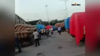 गुलाबबाग मंडी में मक्का के दाम में फिर ₹20 की बढ़त, रैक लगने और मांग बढ़ने से चमका बाजार
