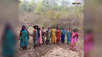 पीटीआर प्रबंधन की नई पहल से वन्यजीव संरक्षण के साथ बदल रही आदिवासियों की तकदीर