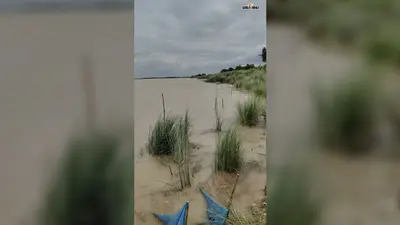 गंगा-कोसी उफान पर, चारों प्रमुख स्थलों पर बढ़ा जलस्तर; तटबंधों पर बढ़ाई गई निगरानी