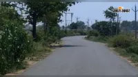 बक्सर : डुमरांव में बारिश के बाद भी नहीं मिली गर्मी से राहत, 36 डिग्री तापमान और उमस ने किया बेहाल