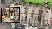 सुबह-सुबह गोरखपुर में आबकारी का धावा, 75 लीटर कच्ची शराब बरामद, मचा हड़कंप