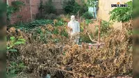जहानाबाद : मखदुमपुर में झाड़ियों के बीच मिली ‘मगध के गांधी’ रामाश्रय बाबू की प्रतिमा, 3-4 साल से सम्मान का इंतजार