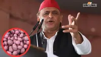 'आलू 1 रुपये किलो, सपना 1 ट्रिलियन डॉलर का', अखिलेश यादव बोले- ये है डील की ढील का परिणाम
