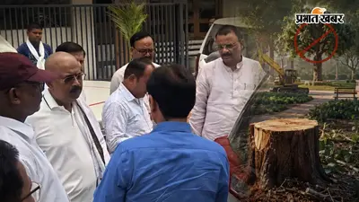 दशकों पुराना पेड़ कटने पर भड़के मेयर, नगर निगम-स्मार्ट सिटी अधिकारियों से मांगा जवाब