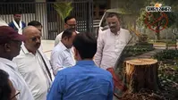 दशकों पुराना पेड़ कटने पर भड़के मेयर, नगर निगम-स्मार्ट सिटी अधिकारियों से मांगा जवाब