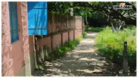 जाले के उर्दू मध्य विद्यालय में तीन सौ छात्र लेकिन स्कूल तक पहुंचने के लिए रास्ता भी नहीं