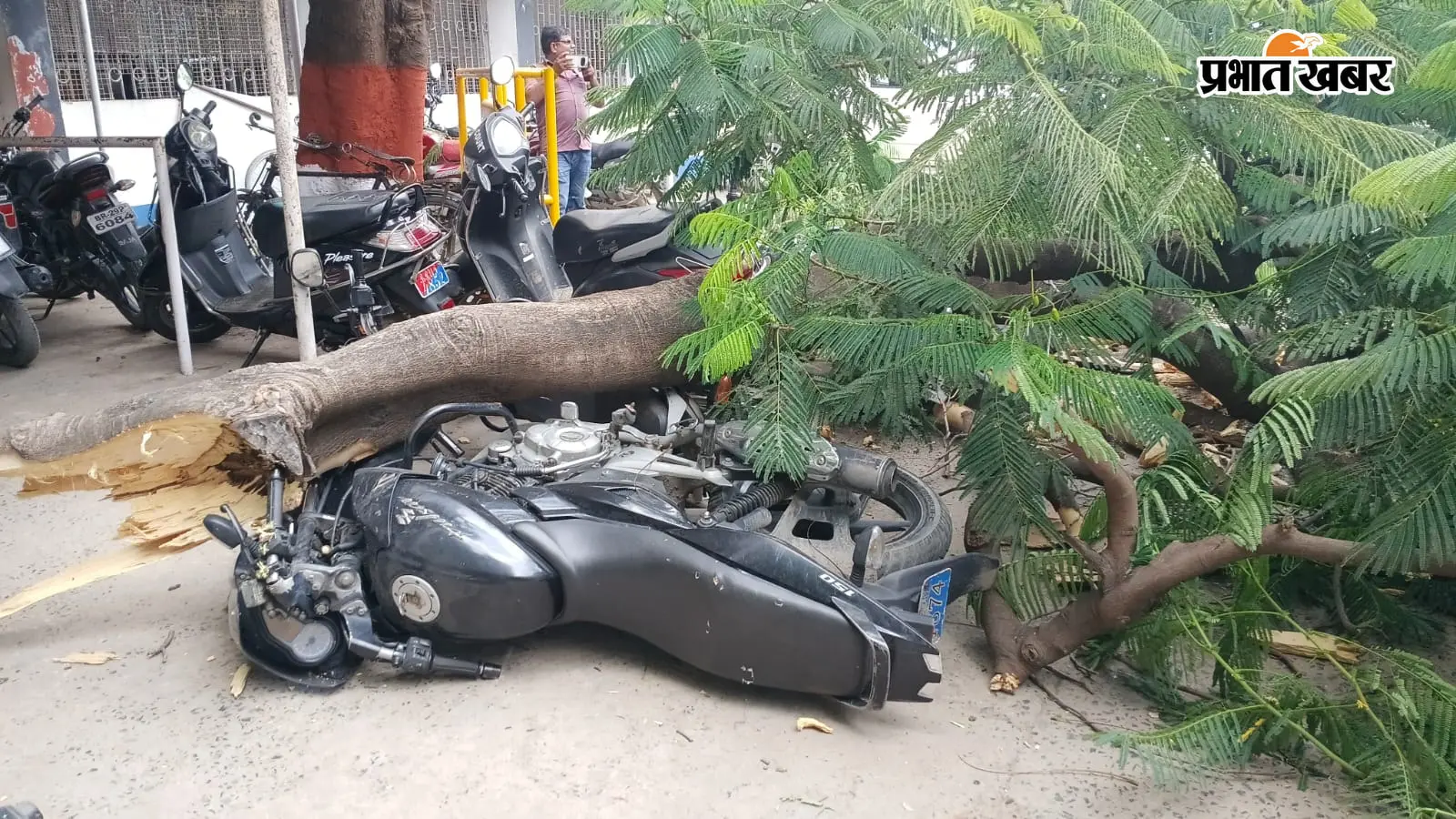 सीवान समाहरणालय परिसर में बड़ा हादसा टला,अचानक गिरी पेड़ की भारी डाली, 7 लाख का नुकसान 6 बाइक क्षतिग्रस्त