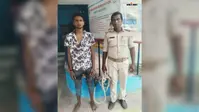 मेडिकल कॉलेज परिसर से गार्डन लाइट और तार चोरी, एक युवक गिरफ्तार, तीन साथियों के नाम सामने आए